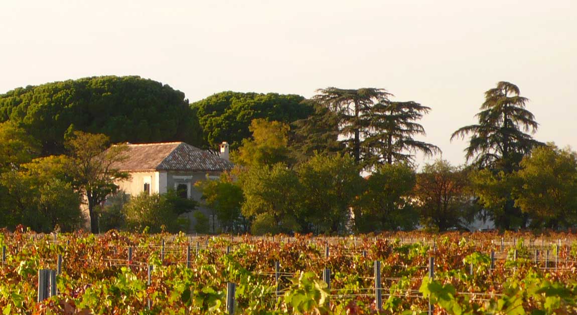 Bodegas Tinedo in der La Mancha